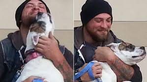 Afghan Vet Reunites With Dog After Ex Gave Her Away