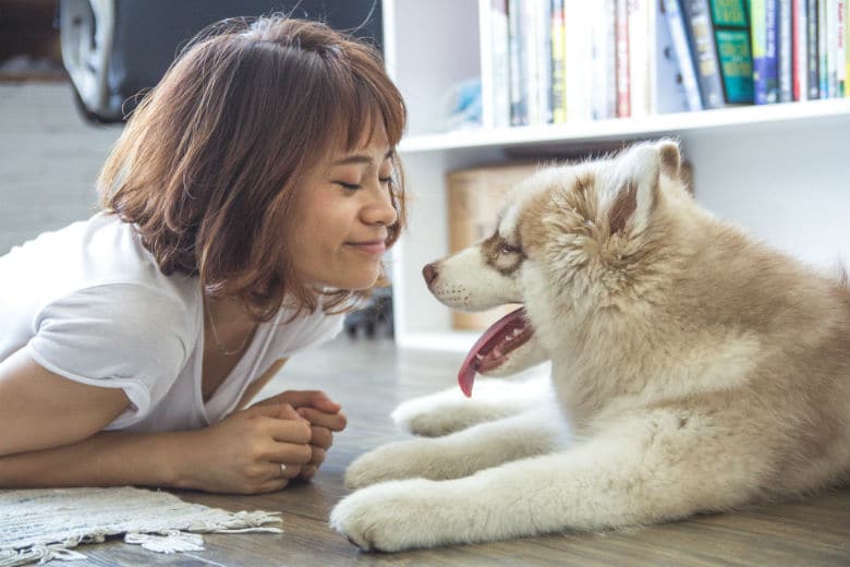 A woman laying on the floor with a husky dog, demonstrating how to say "dogs" nonverbally.