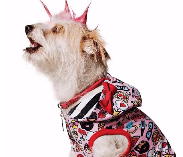 A dog wearing a pink hoodie with a Gwen Stefani-inspired pink wig.