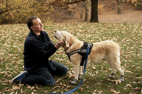 A man petting a dog in a park full of dogs on the street.