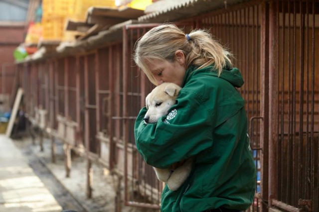 A woman is holding a puppy in a cage at a dog meat market.