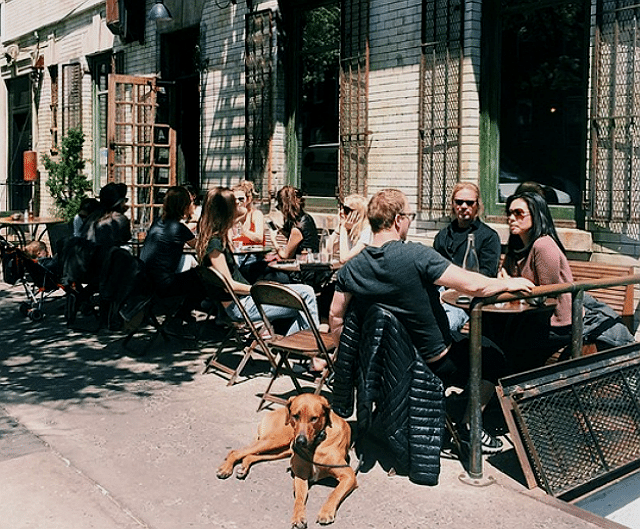 A group of people and a dog sitting outside Five Leaves restaurant.