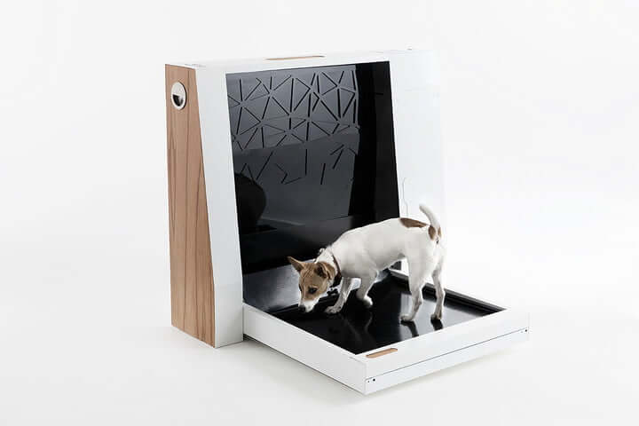 New Invention at CES May Make Taking Your Dog Outside on Potty Breaks a Thing of the Past 