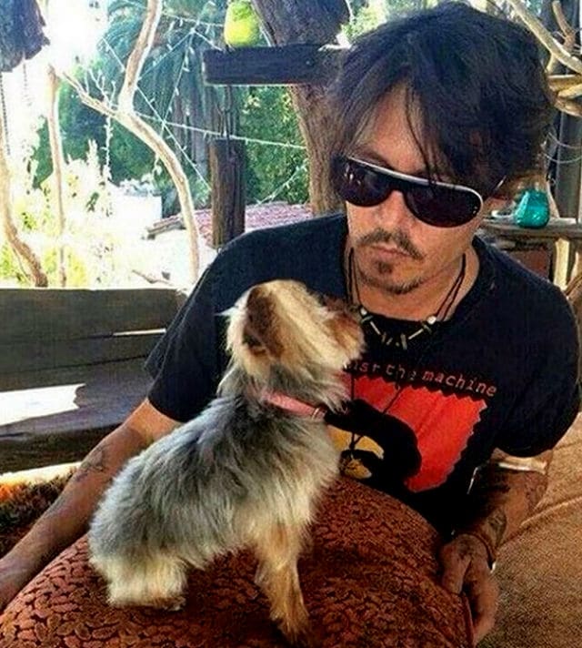 Johnny Depp's beloved dog.