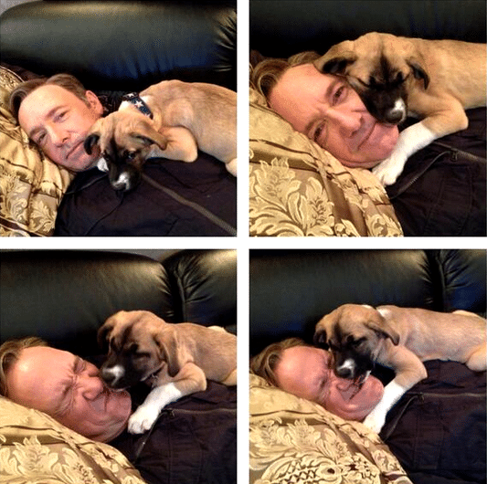 Kevin Spacey is sleeping on a couch with a dog.