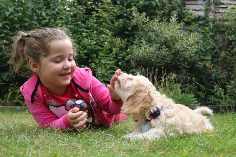 kid and pets