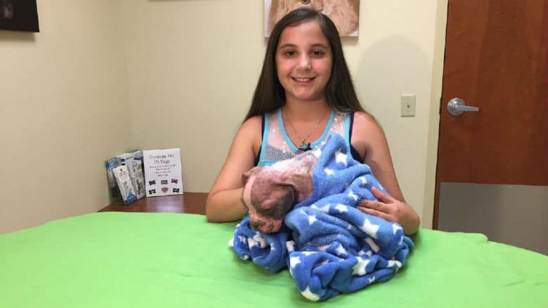 A young girl lovingly cradles a recovering puppy wrapped in a blanket, a heartfelt birthday gift that aims to save its precious life.