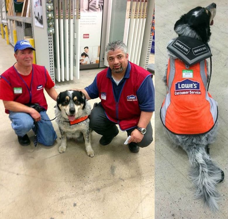After Man and His Service Dog Couldn't Find a Job, Lowe's Welcomes Them to the Team