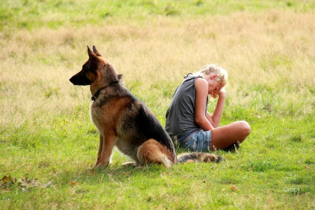 A girl sits next to a German Shepherd dog in a peaceful field.