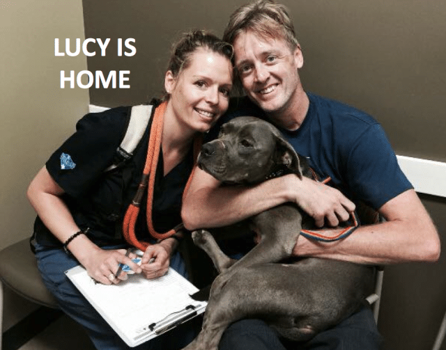 Two people hugging a service dog with the text lucy is home.