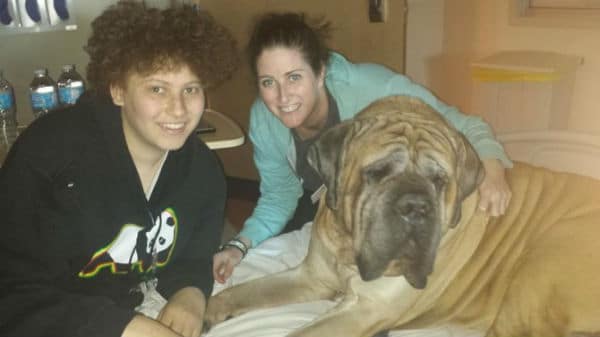 Two women posing with a large dog named Anthony in a hospital bed.