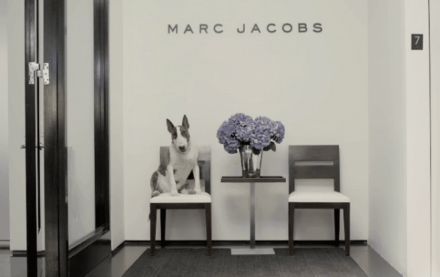 Watch: The Exhausting Workday of Marc Jacobs' Dog (Sarcasm Intended)
