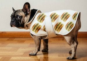 A dog wearing a coat with hot dogs on it, reminiscent of McDonald's iconic menu items.