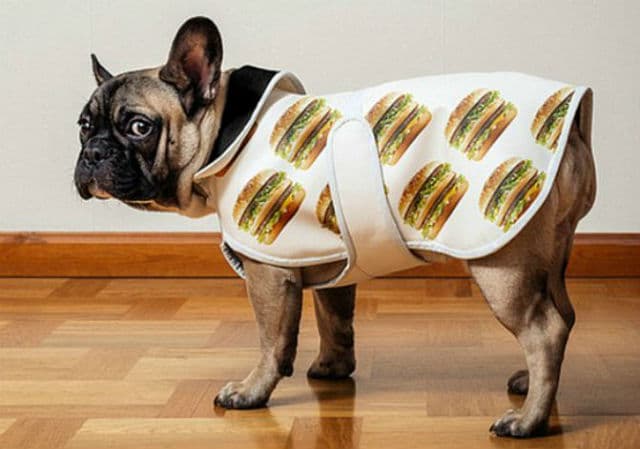 A dog wearing a coat with hot dogs on it, resembling a McDonald's commercial.