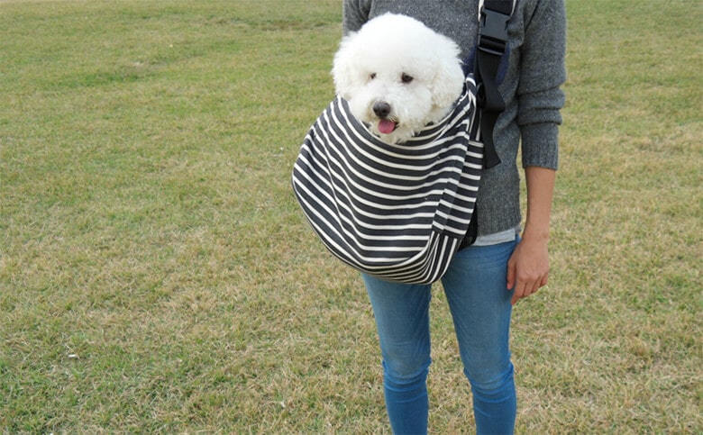 When You Are on the Go, Here are 7 Dog Sling Carriers to Put Your Pup In