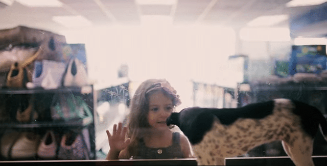 A little girl visiting an animal shelter in Brazil, captivated by a dog.