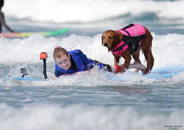 A girl is riding a surfboard with a dog on it while experiencing the exhilarating ricochet of waves.