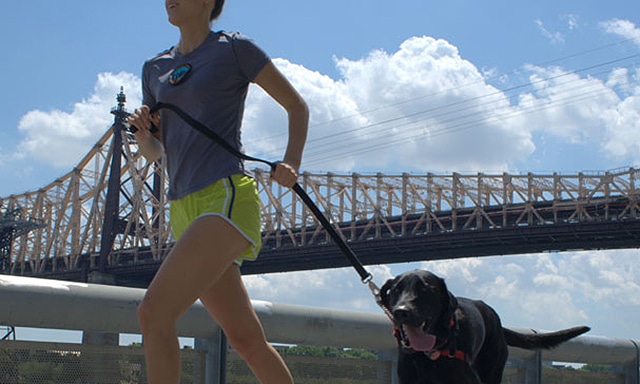 A woman running with a dog on a bridge.