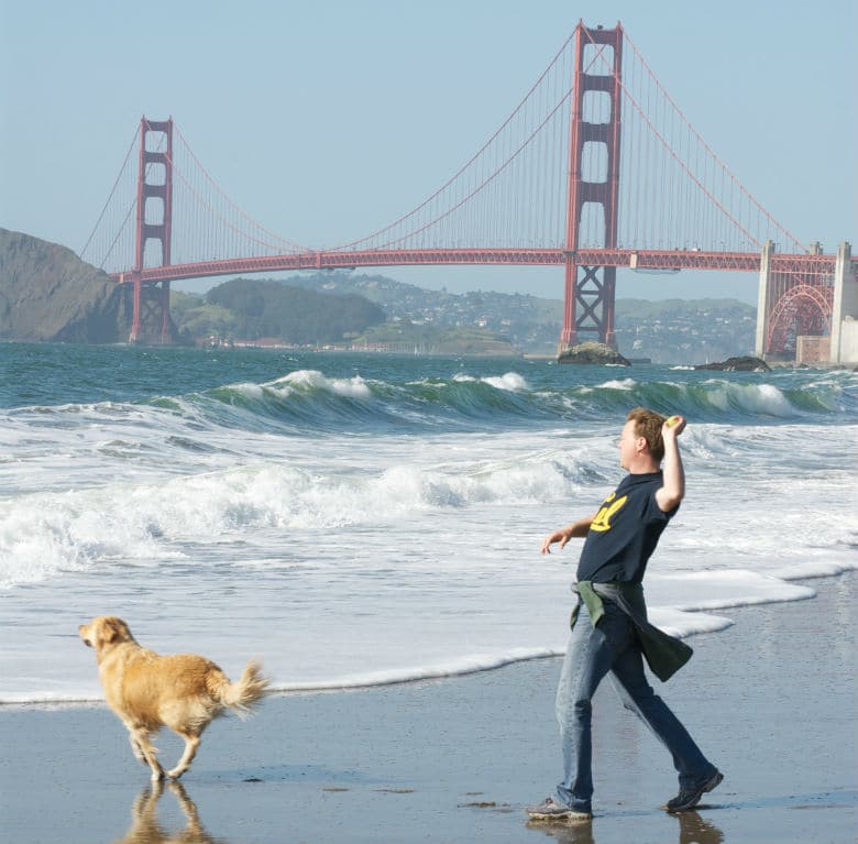 A woman playing frisbee with her dog at Golden Gate Park.