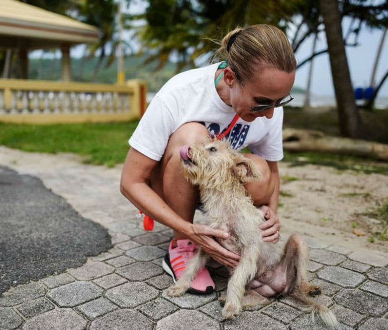 |Chrissy Beckles of The Sato Project|The Sato Project and Dead Dog Beach in Puerto Rico