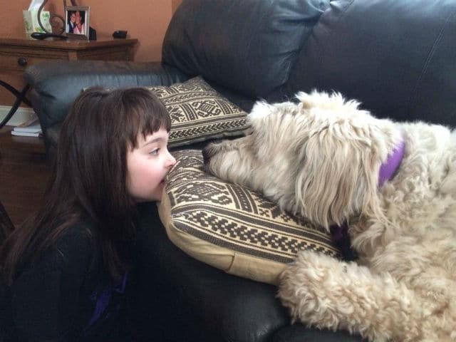 A girl from Gates Chili Central School District kissing a dog on a couch.