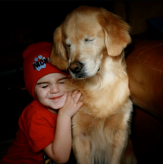 A young boy happily hugging a smiley dog.