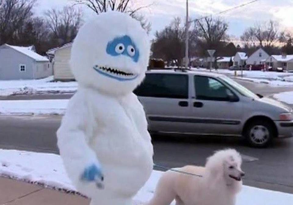 An Abominable Snowman mascot walking a dog on a leash.