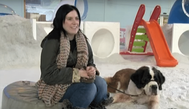 A woman sits with her St. Bernard in a snow play area.