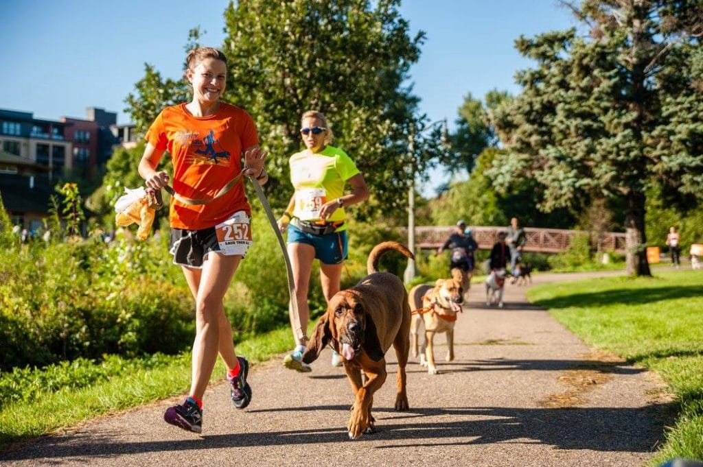 Los Angeles' Strut Your Mutt Looks to Be Biggest One of The Year