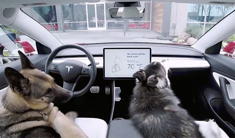 Tesla Fixes 'Dog Mode' After It Malfunctions With Puppy Inside