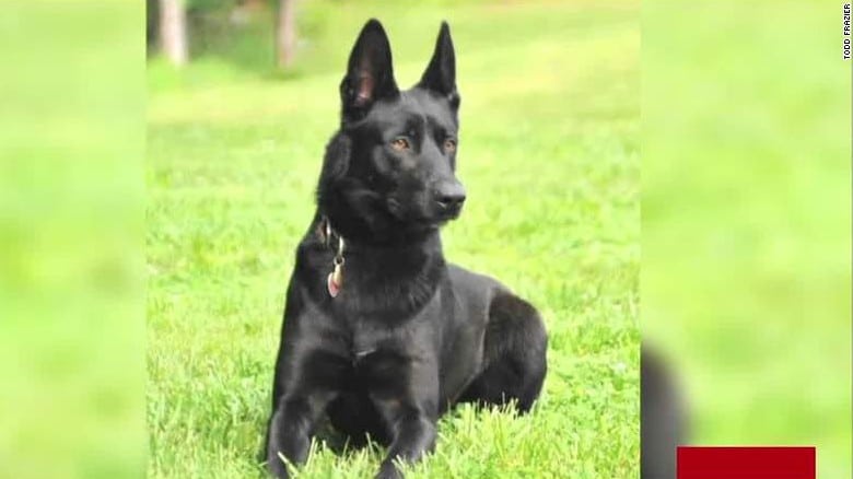 Police Dog Fights Off Bad Guys, Saves Cop's Life