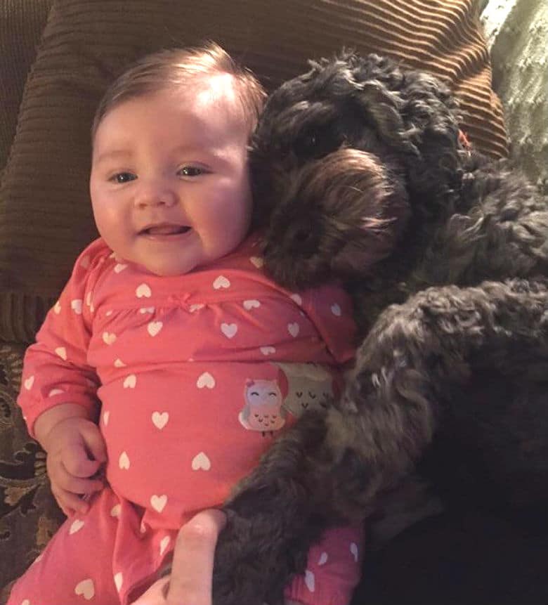Dog Loses His Life to Protect Little Girl From Flames