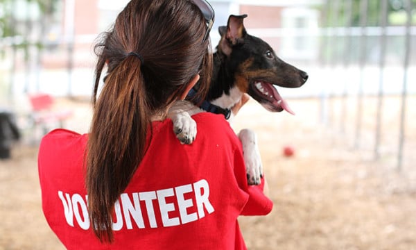 Consider volunteering to be an important role as a woman holds a dog in a red shirt.