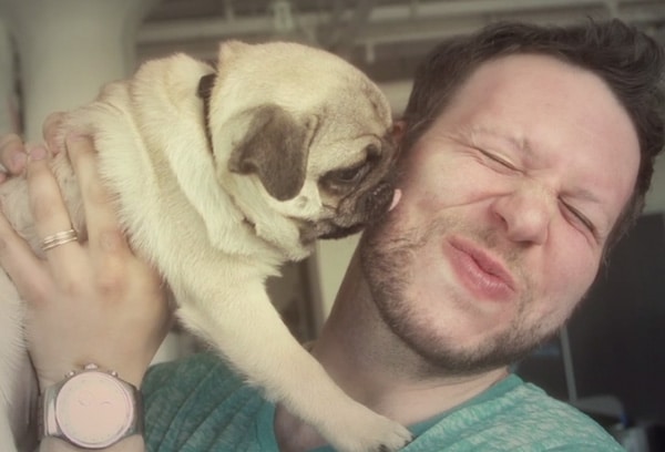 An office worker is affectionately holding a pug, showering it with kisses.