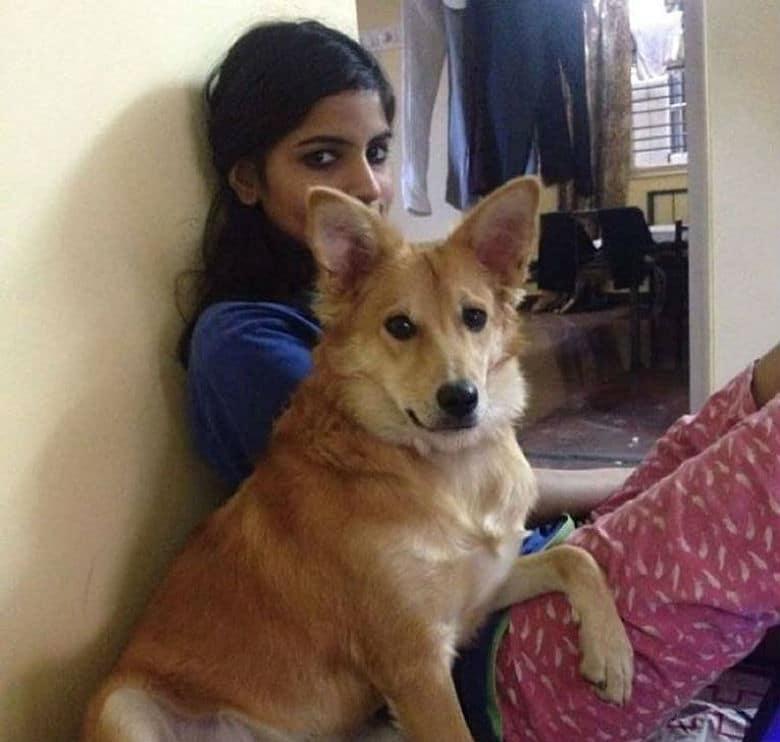 Woman Chooses Her Dog Over Husband