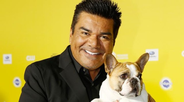 Vote for the Top Pups You Want to Win a 'World Dog Award'