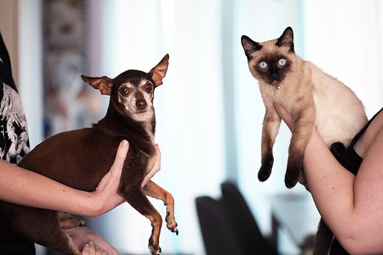 Two happier pet owners holding a dog and a cat.