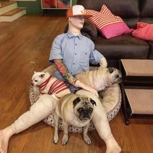 A mannequin sitting on a dog bed with two pugs, one of which is a senior dog.