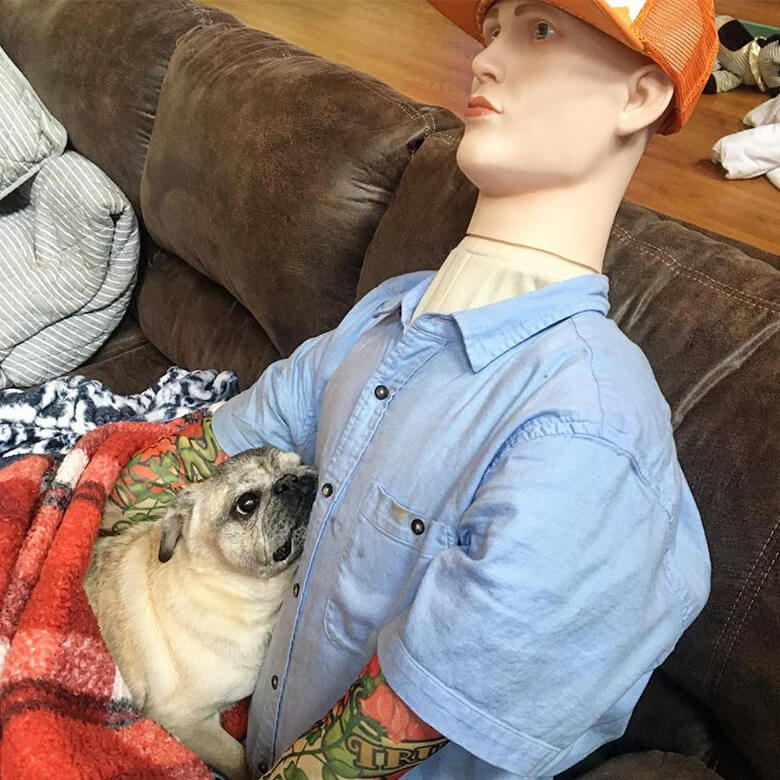 Senior Dog Suffering From Separation Anxiety Finds Comfort in a Mannequin