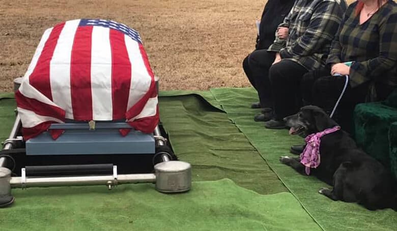 A Grieving Dog Who Wouldn’t Leave Her Dead Owner’s Side Gets to Say Goodbye at Funeral