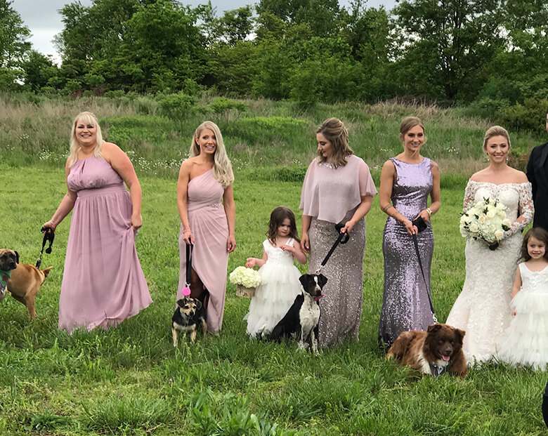 A group of bridesmaids and their dogs participate in a wedding ceremony in a field.