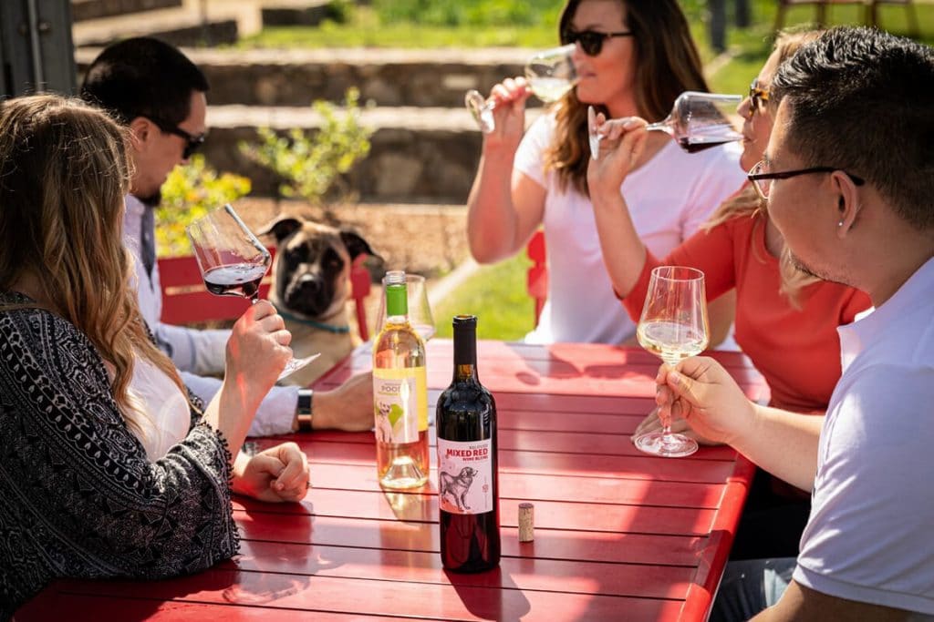 Cheers to This: 4 Wineries That Donate to Dog Shelters and Rescues