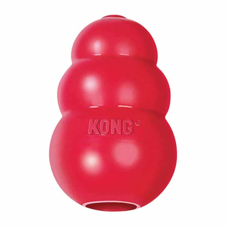 Kong dog puzzle toy