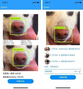 A dog's nose is shown on an iPhone screen, using nose-recognition technology developed by an AI company to identify dogs.