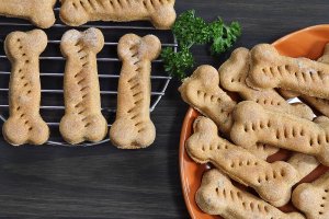 dog treats