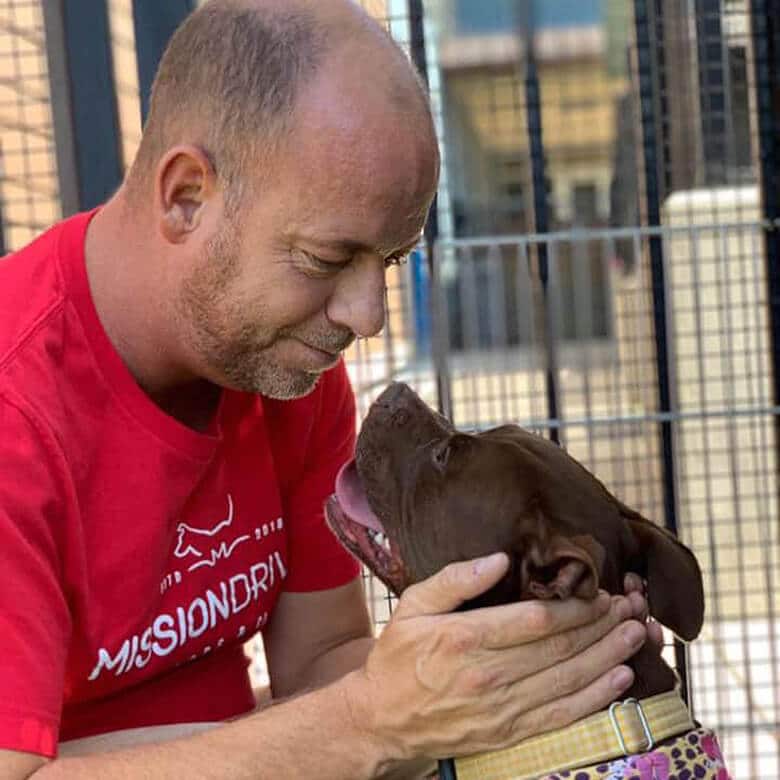 Dog in Shelter for 400 Days Gets Adopted