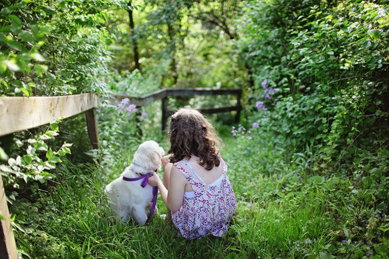 How to Teach Your Children to Be Gentle with Dogs This Dogs Life