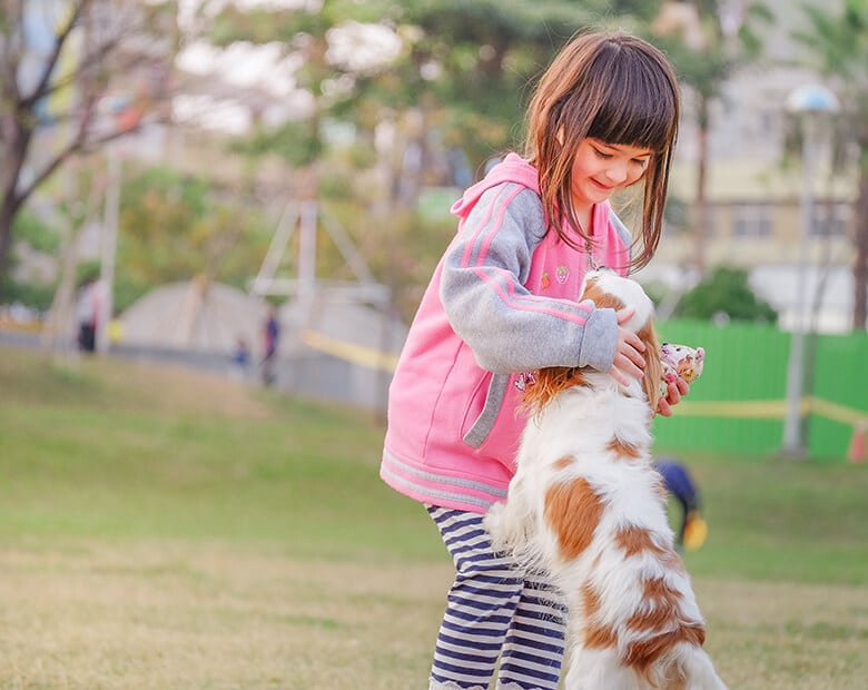 How to teach children to be gentle with dogs A little girl petting a