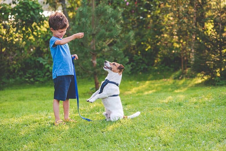 kid with dog