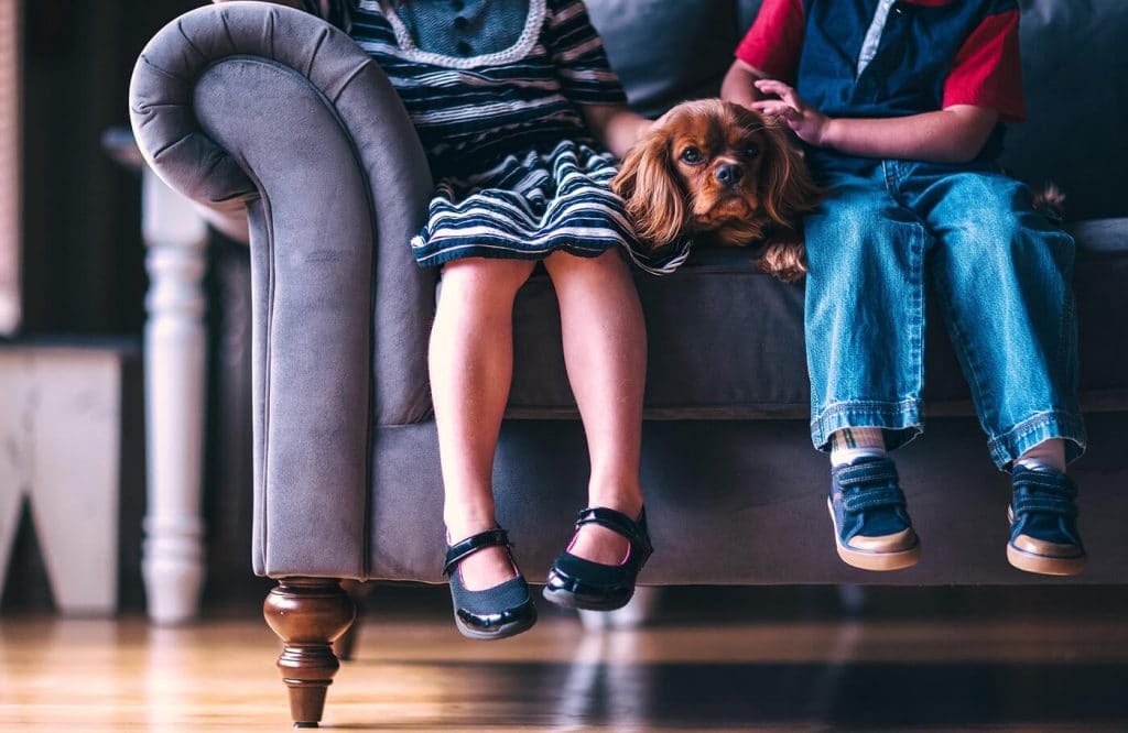 Two children sitting on a couch, teaching a dog to be gentle.